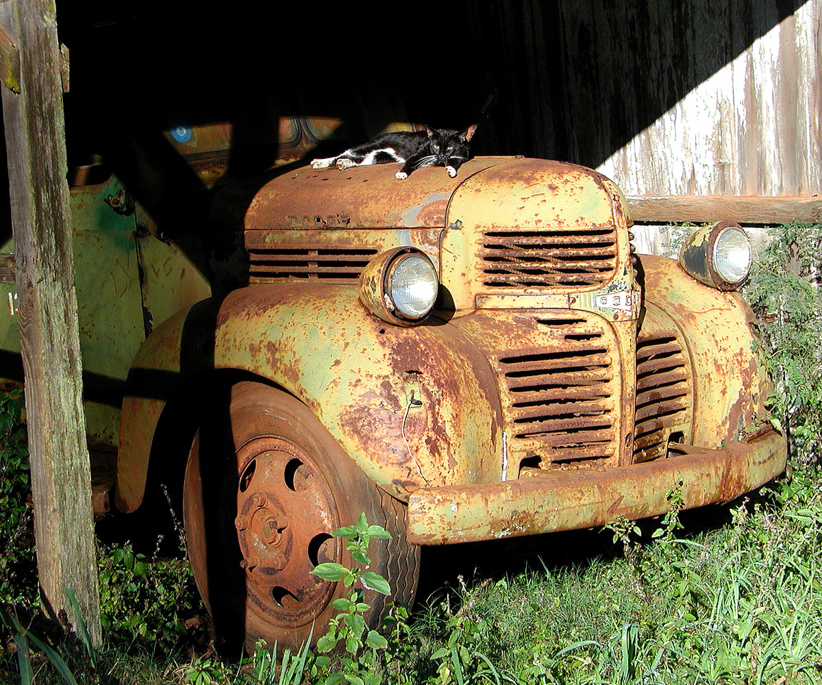 Lana'i Hood Ornament