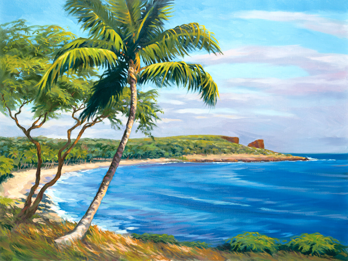 Hulopo'e Shoreline (LE)