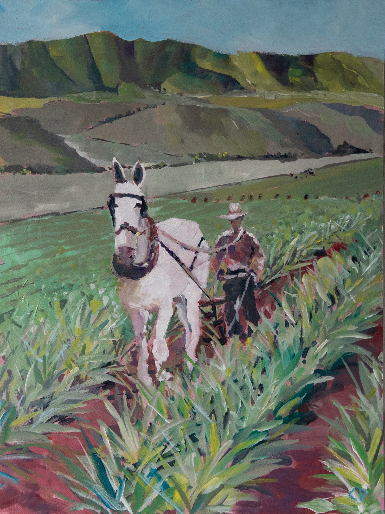 Charlie Palumbo: Palawai Mule