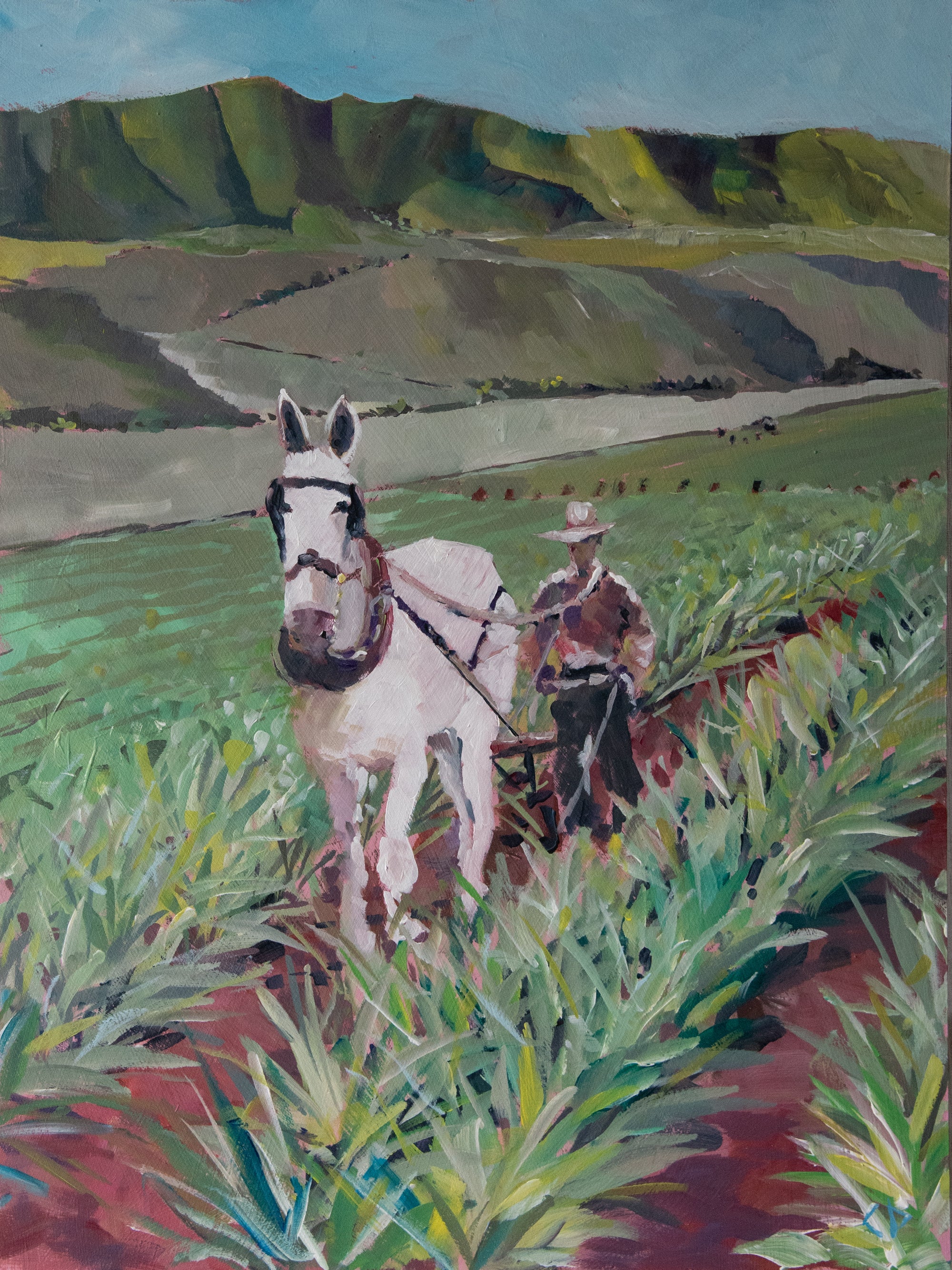 Charlie Palumbo: Palawai Mule