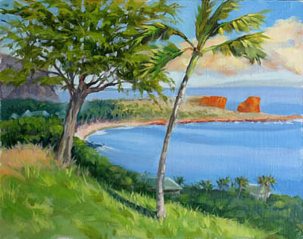 Above Hulopo'e Bay