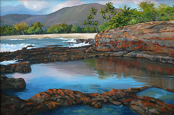 Afternoon Reflections