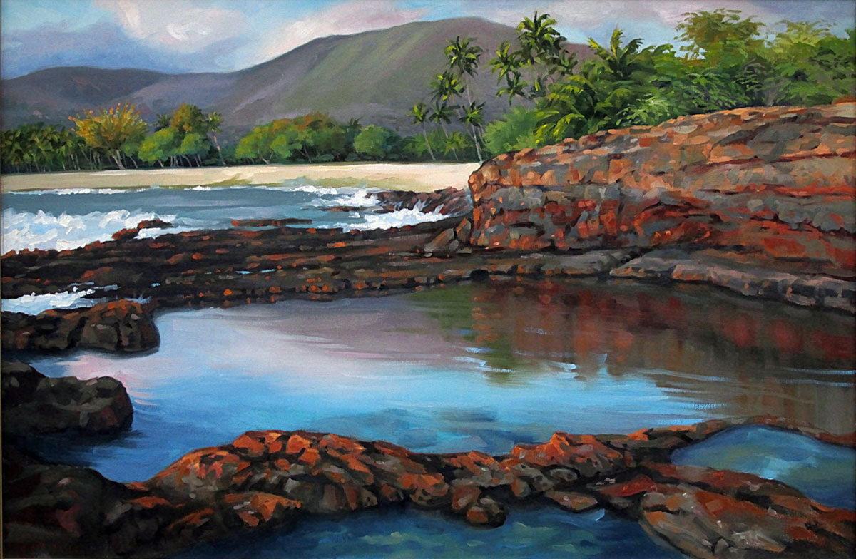 Afternoon Reflections