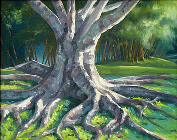 Another Koele Morning