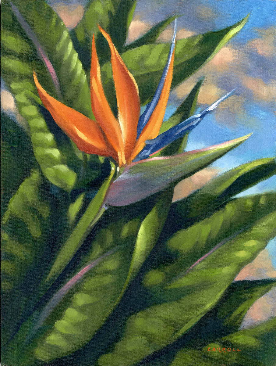 Bird of Paradise