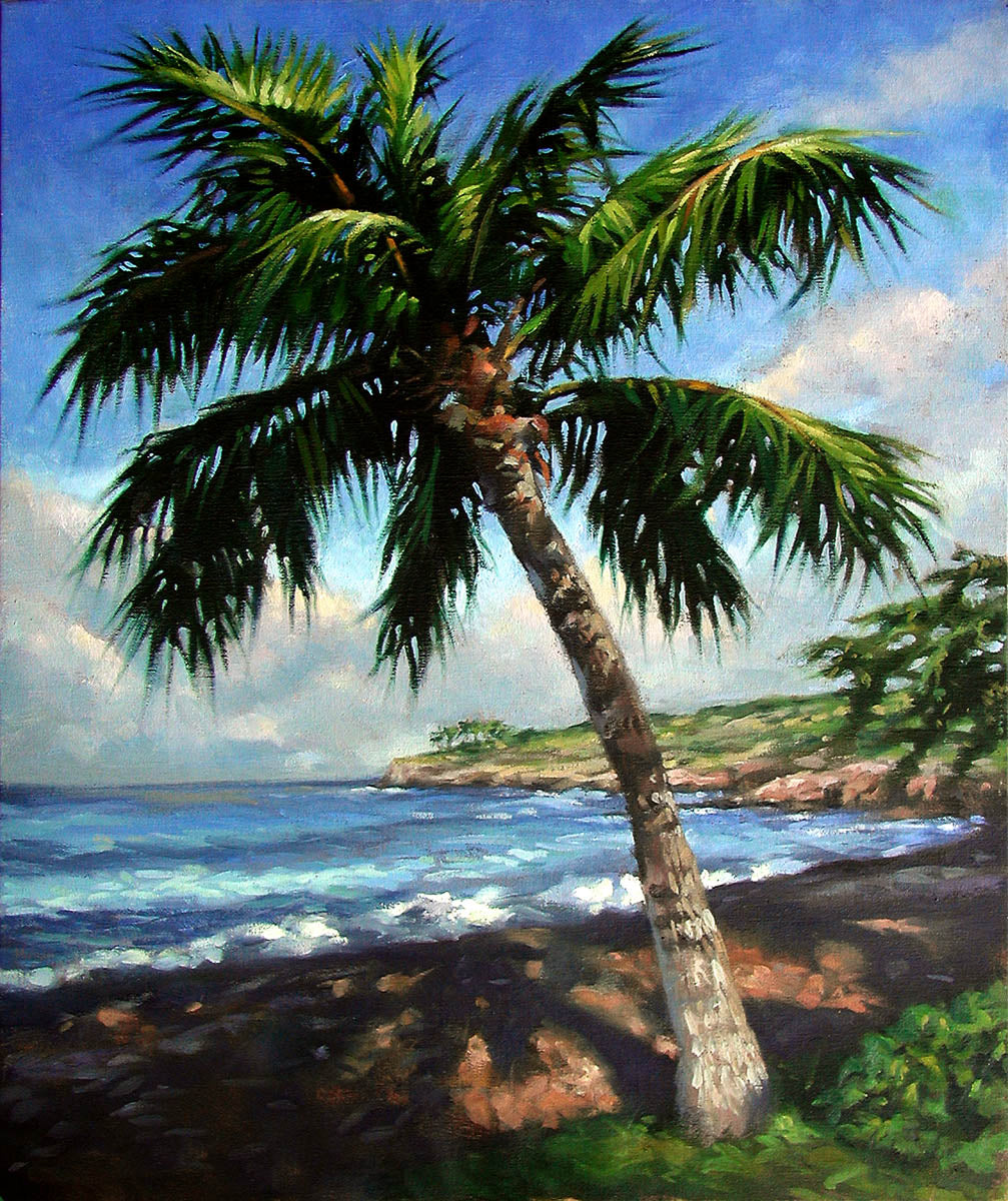 Dawn, Hulopo&#39;e Bay