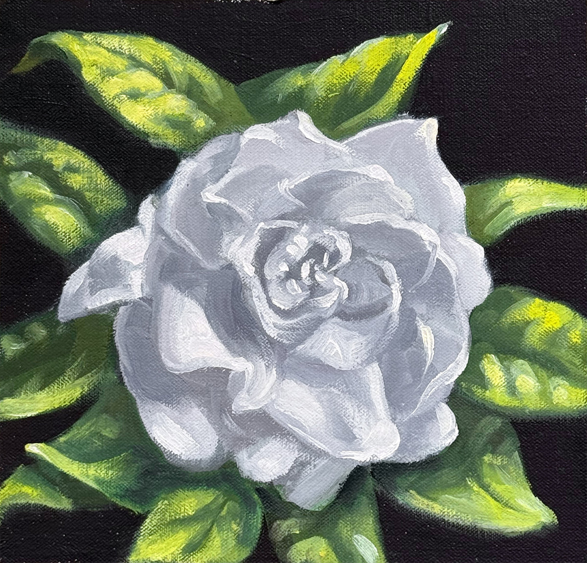"Fresh Gardenia"