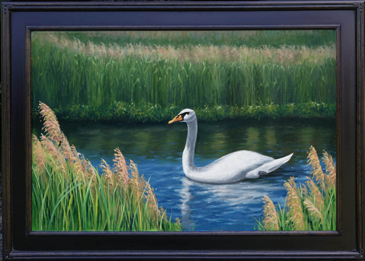 Oceanport Swan