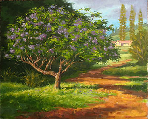Jacaranda Pathway