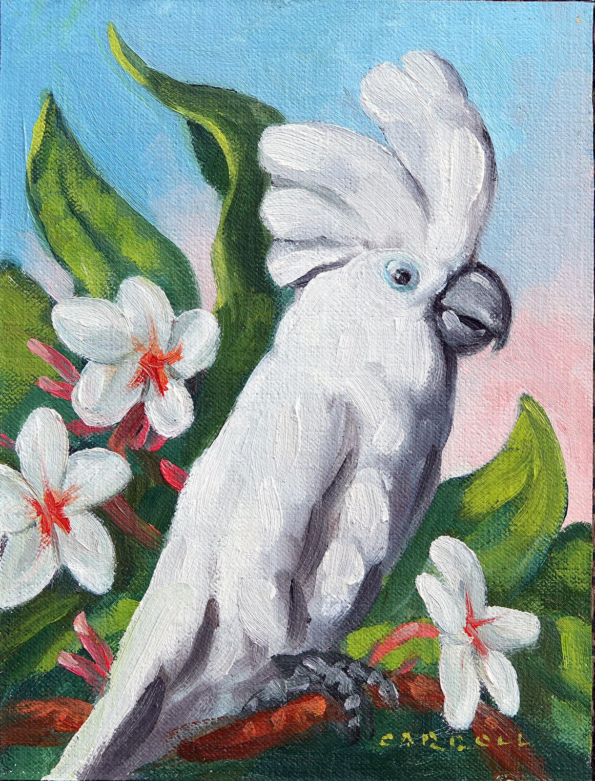 Keokeo, The Rescue Bird