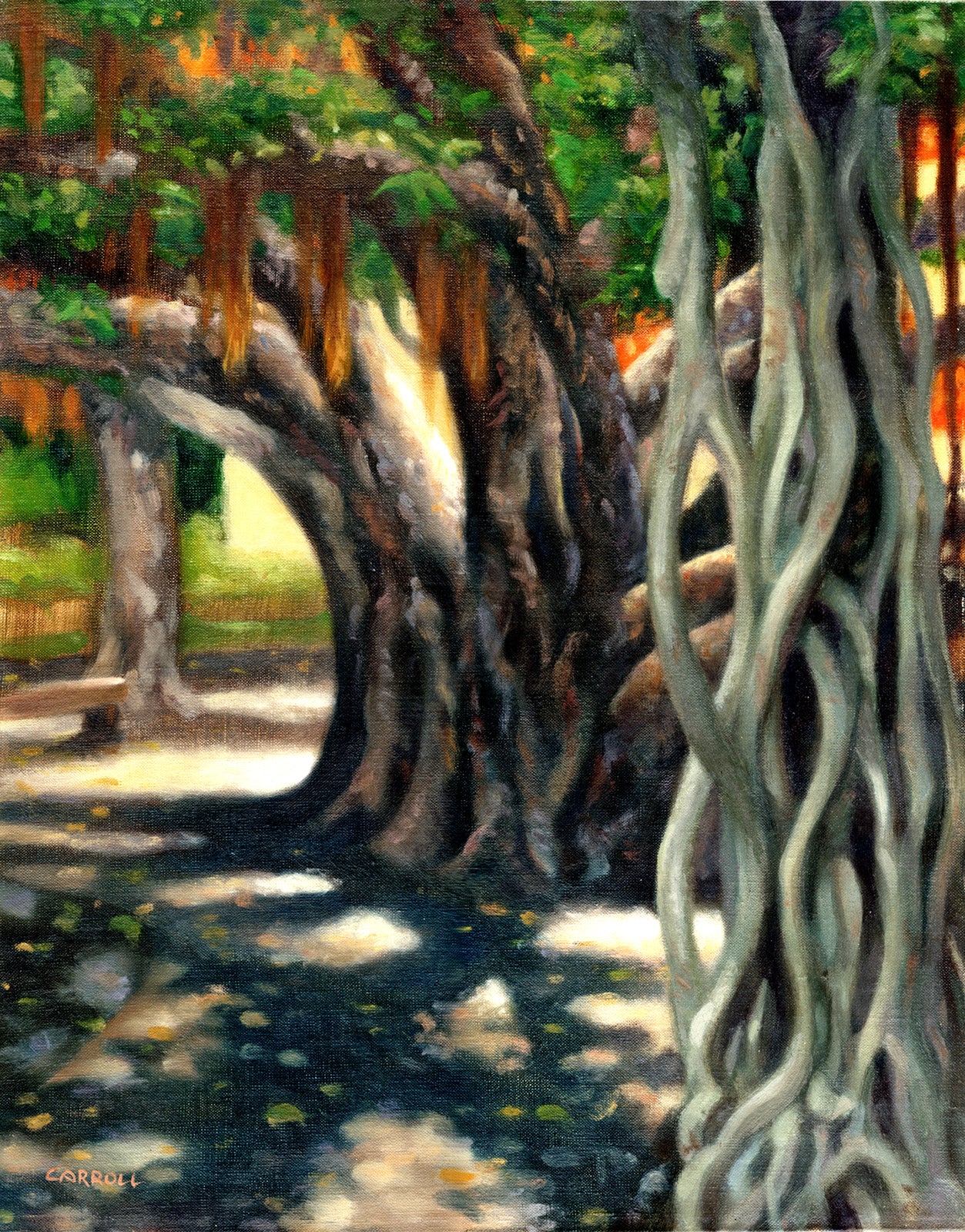 Lahaina Banyan