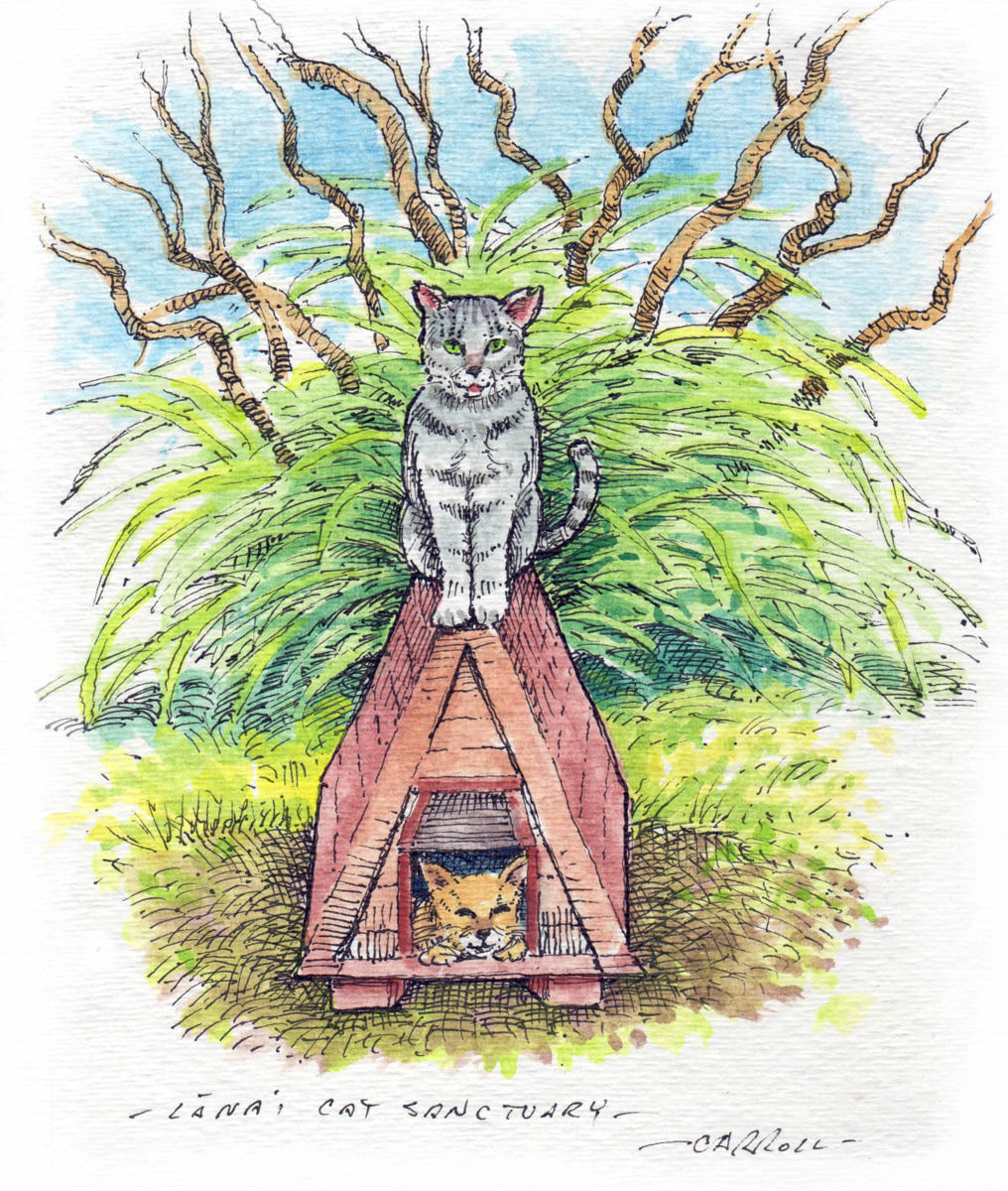 Lana&#39;i Cat Sanctuary