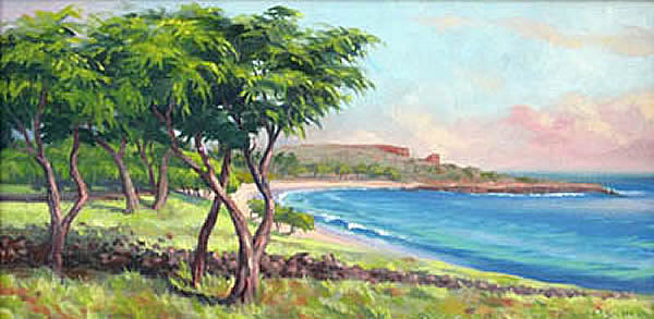 Made In The Shade On Lana'i