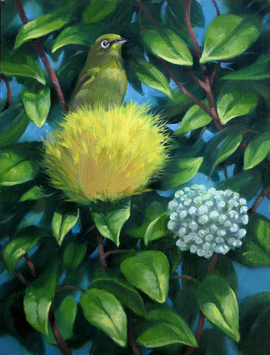 Mejiro and &#39;Ohi&#39;a Lehua