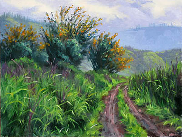 Palawai Basin In Bloom