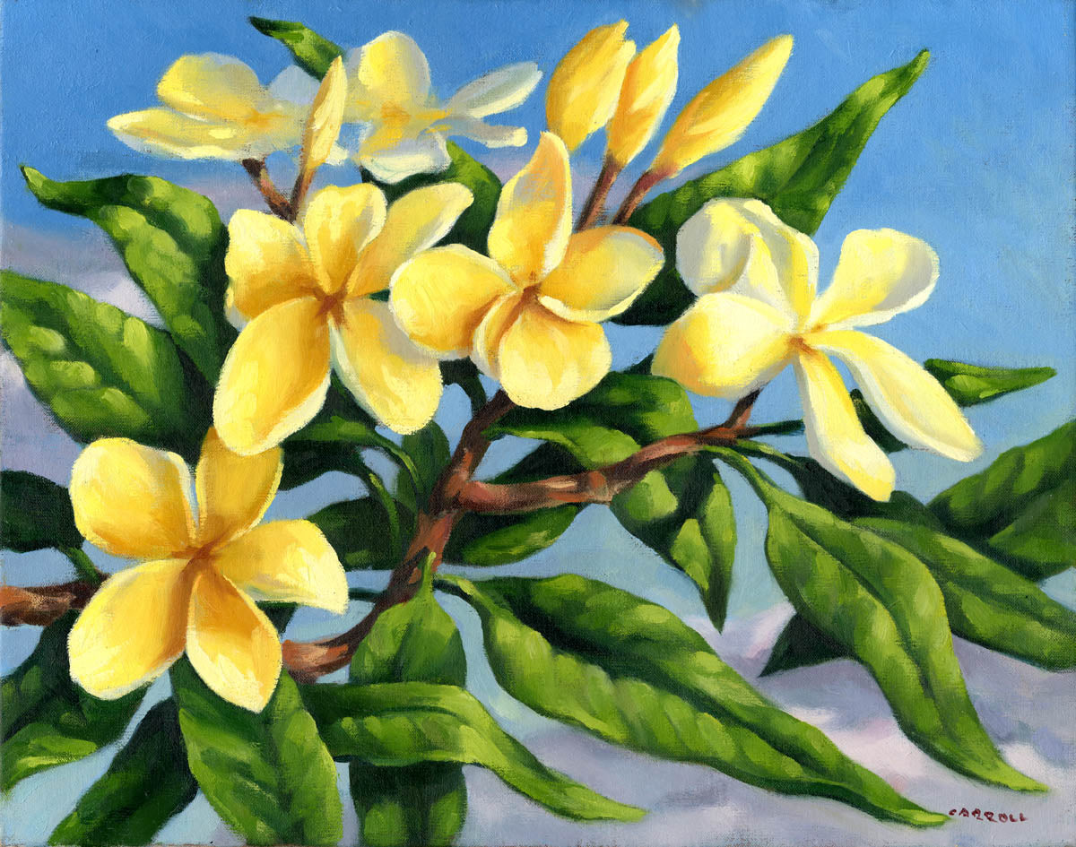Sunny Plumeria