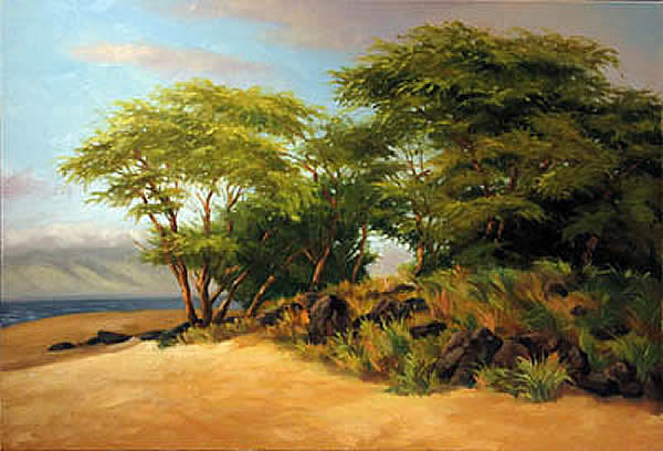 Polihua Afternoon, Lana&#39;i