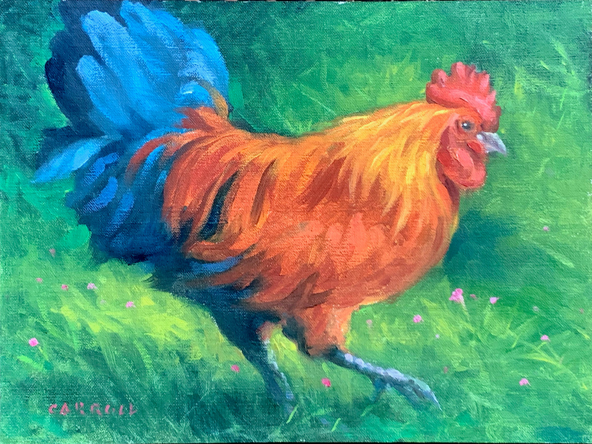 Roaming Rooster