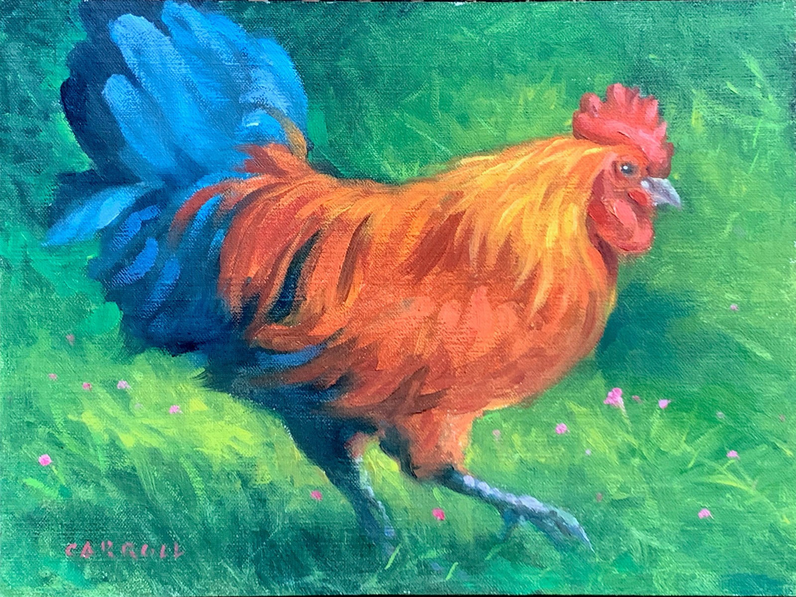 Roaming Rooster